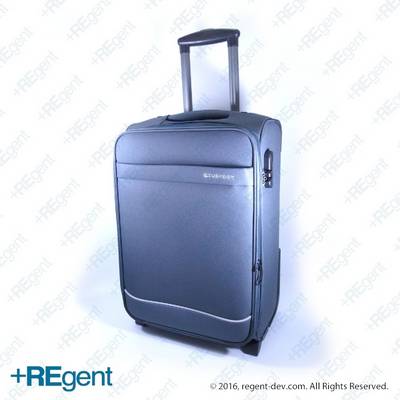 21167 - 20寸布行李箱