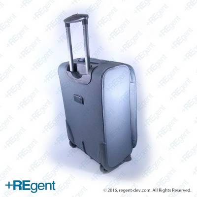 21167 - 20寸布行李箱