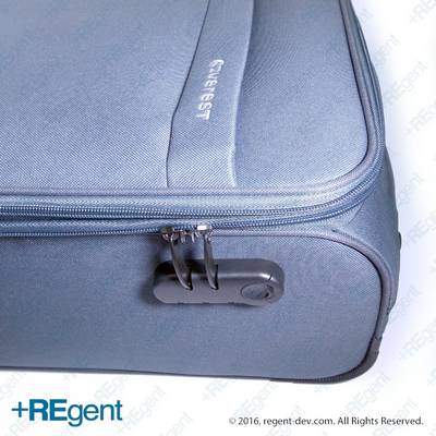 21167 - 20寸布行李箱