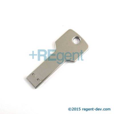 UD111 - 鎖匙型USB手指