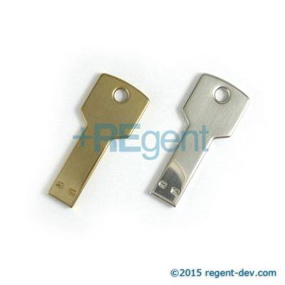 UD111 - 鎖匙型USB手指